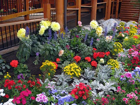 Flowers
